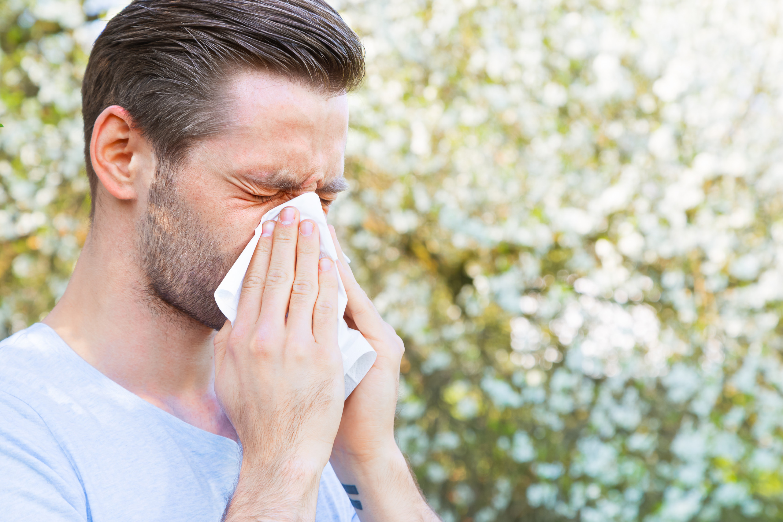 Rinite allergica