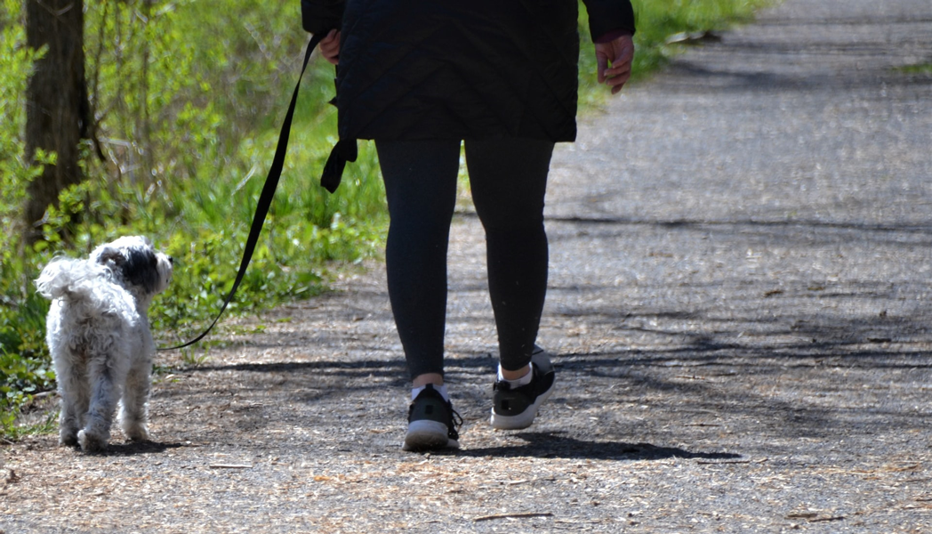 camminata con il proprio cane