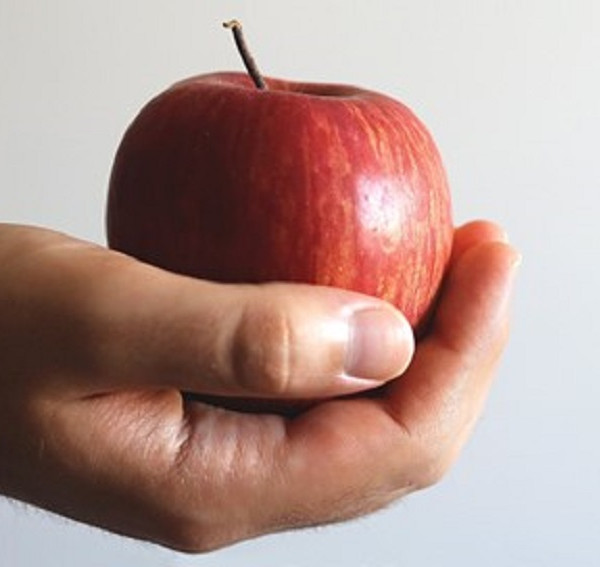 Giornata Mondiale dell’Alimentazione: un tema importantissimo, sempre!