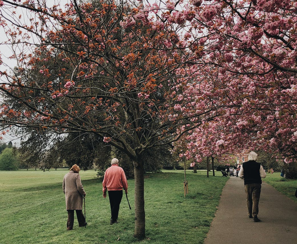 Prevenzione cadute anziani: attenzione e cura dei dettagli