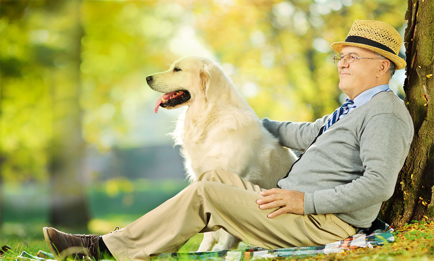 Villa Ida<br>Pet Therapy 2023