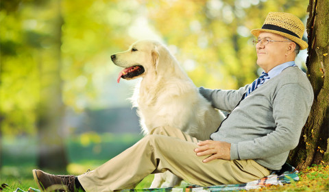 Villa Ida<br>Pet Therapy 2023