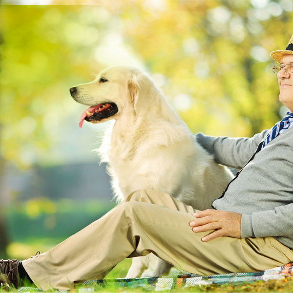 Villa Ida<br>Pet Therapy 2023