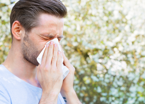Allergie primaverili: come curarle e prevenirle
