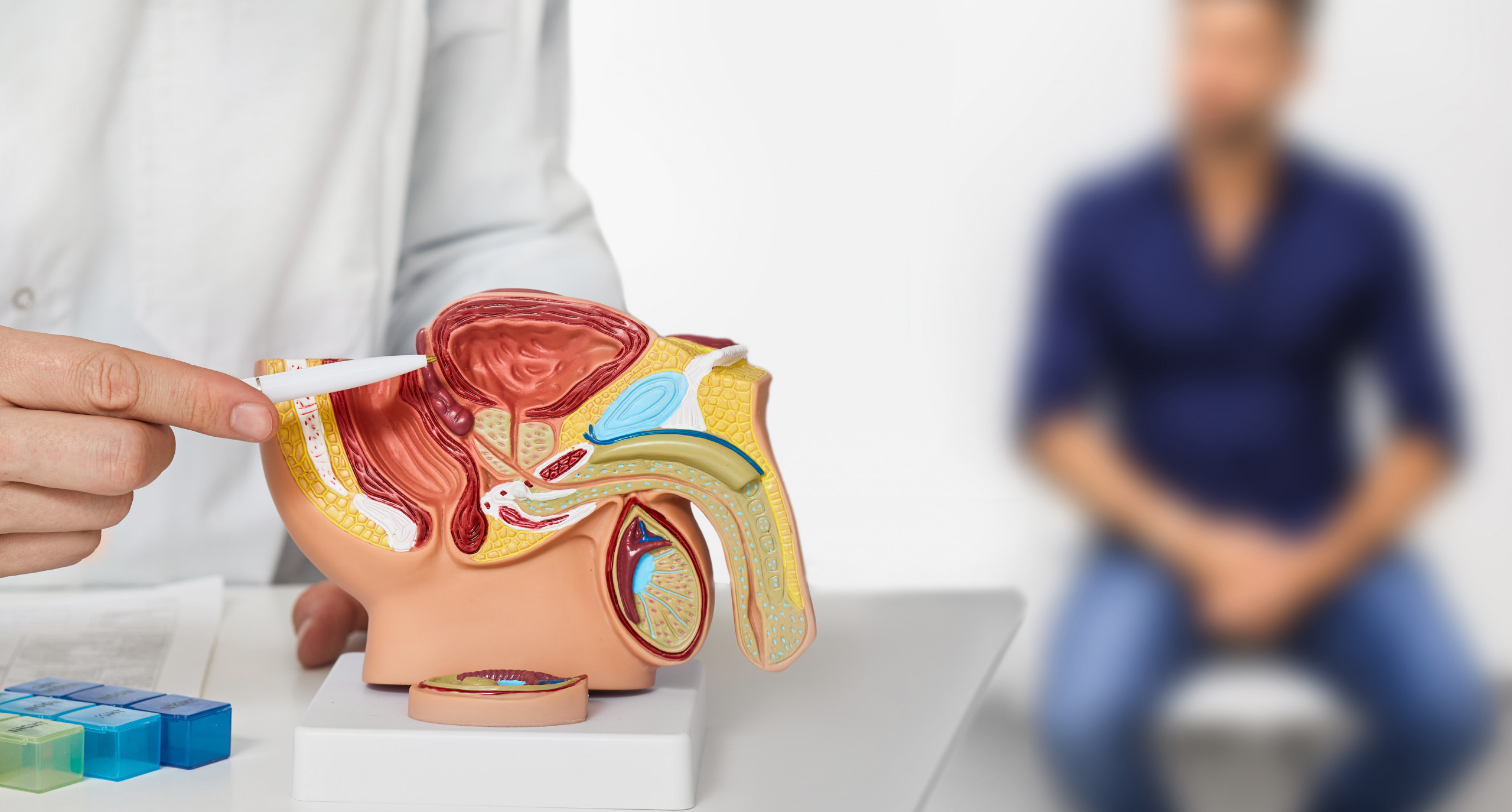 disfunzione erettile