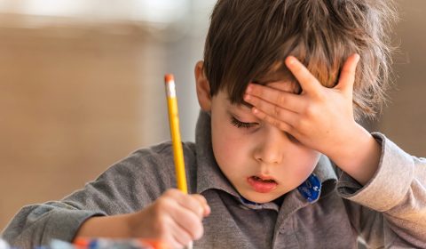 Qual è la differenza tra BES e DSA?