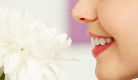 Anosmia, alla ricerca dell’olfatto perduto