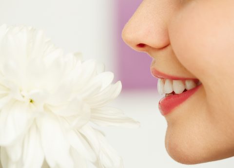 Anosmia, alla ricerca dell’olfatto perduto