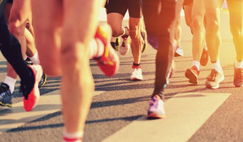 Kormed EcoRun Varese