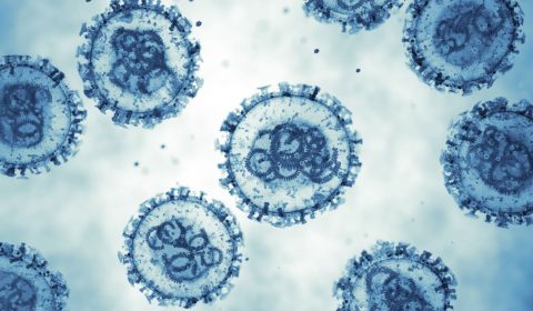 Hantavirus: cos’è, come si contrae e altre cose da sapere