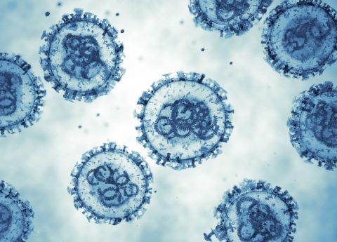 Hantavirus: cos’è, come si contrae e altre cose da sapere