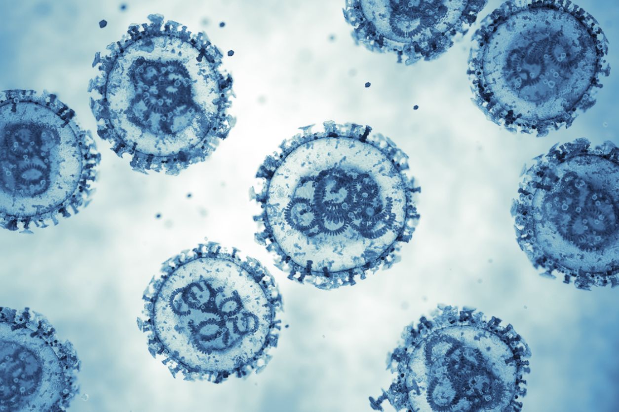 Hantavirus: cos’è, come si contrae e altre cose da sapere